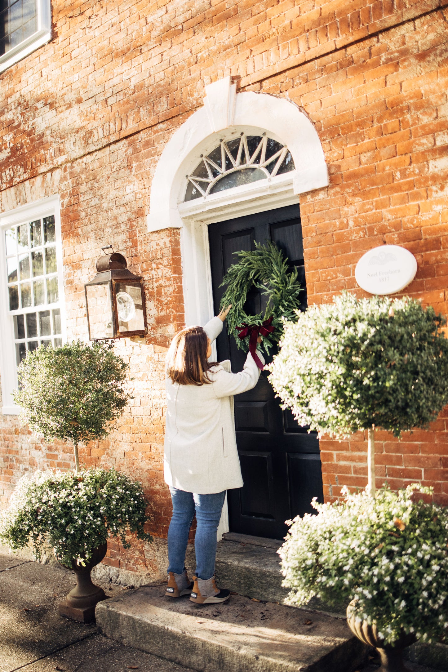 Faux Norfolk Pine Wreath with Velvet Bow (6 color options)