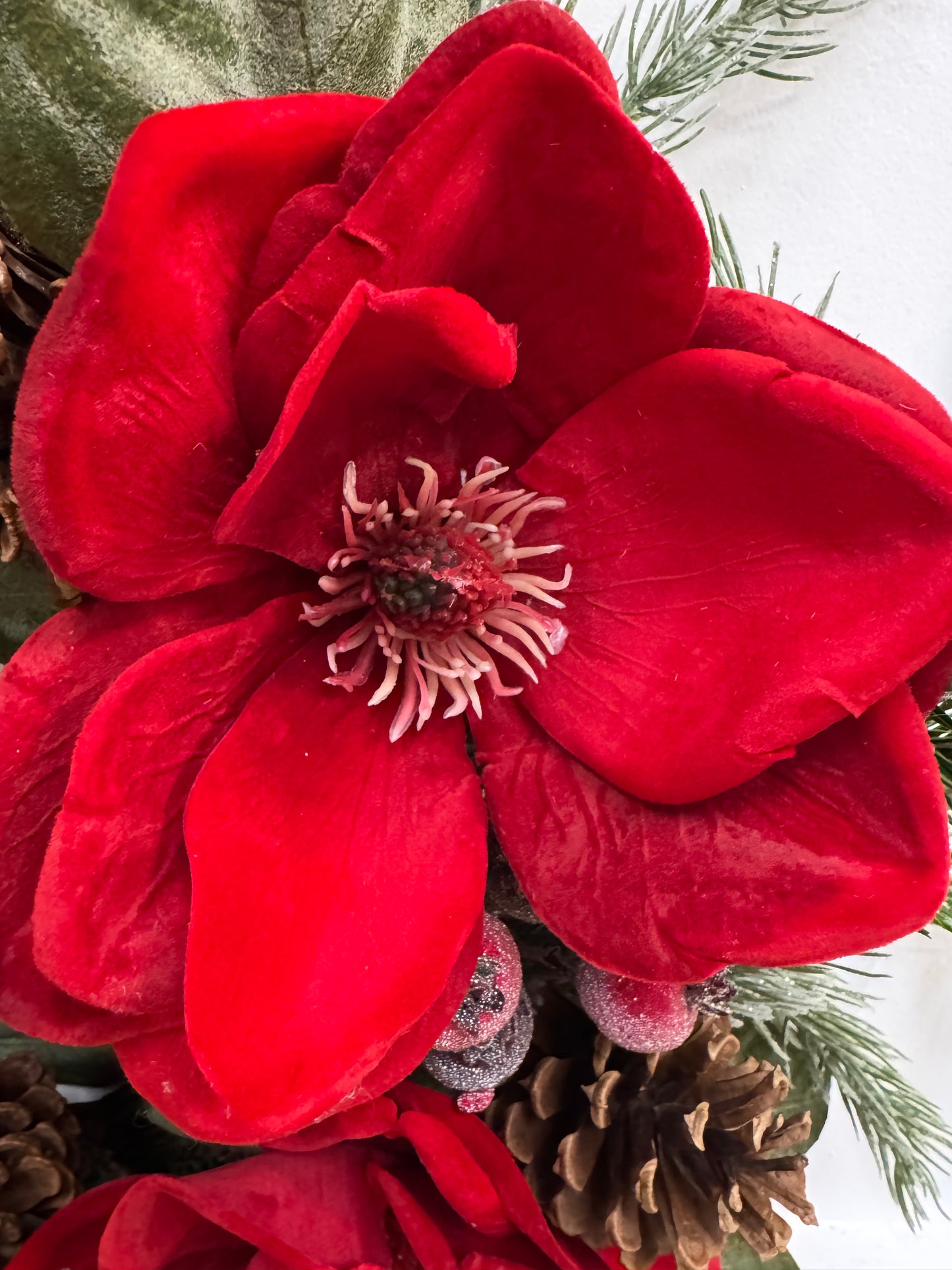 Velvet Magnolia, Pine and Sugared Berry Wreath