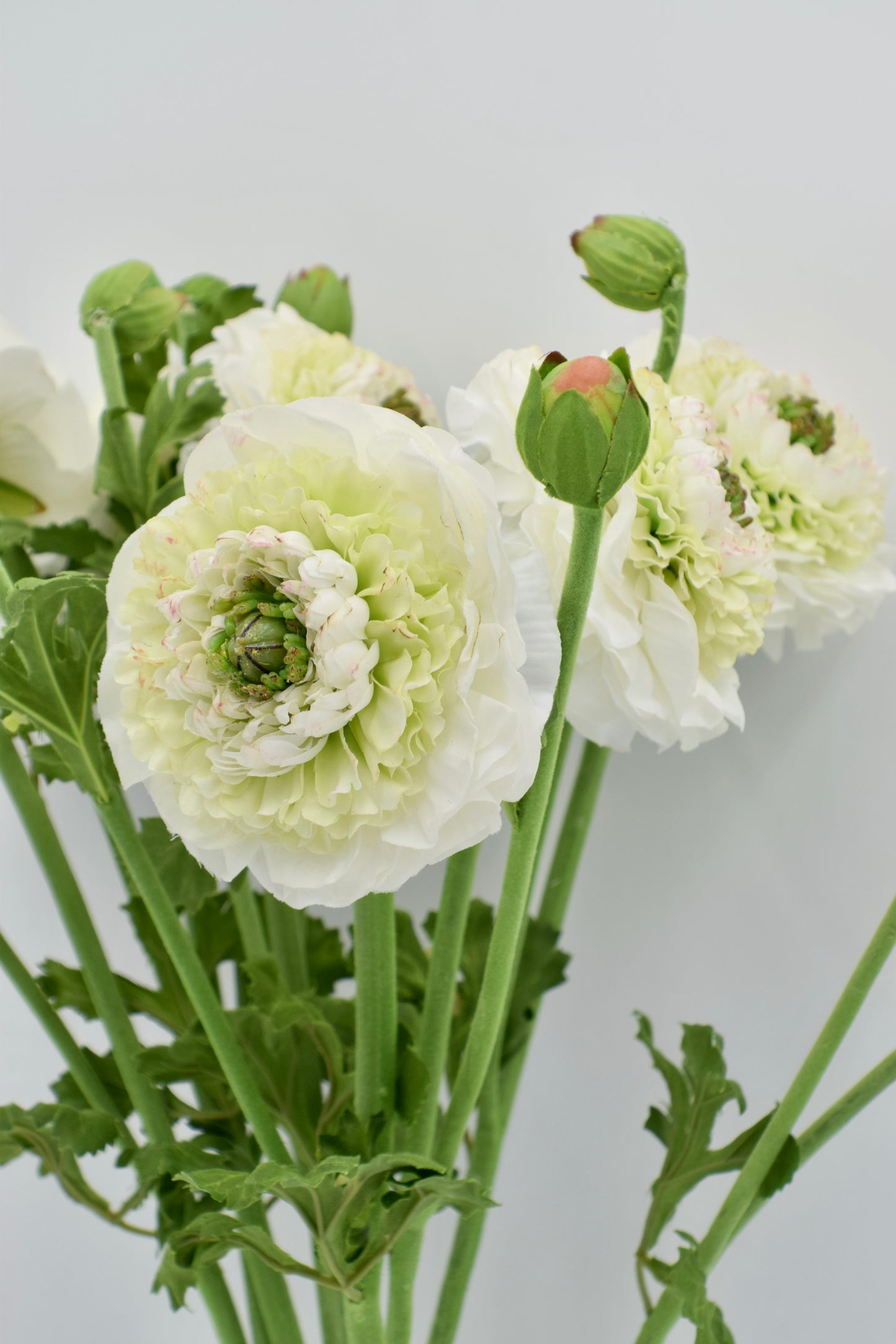 21” Faux Ruffled Ranunculus Spray