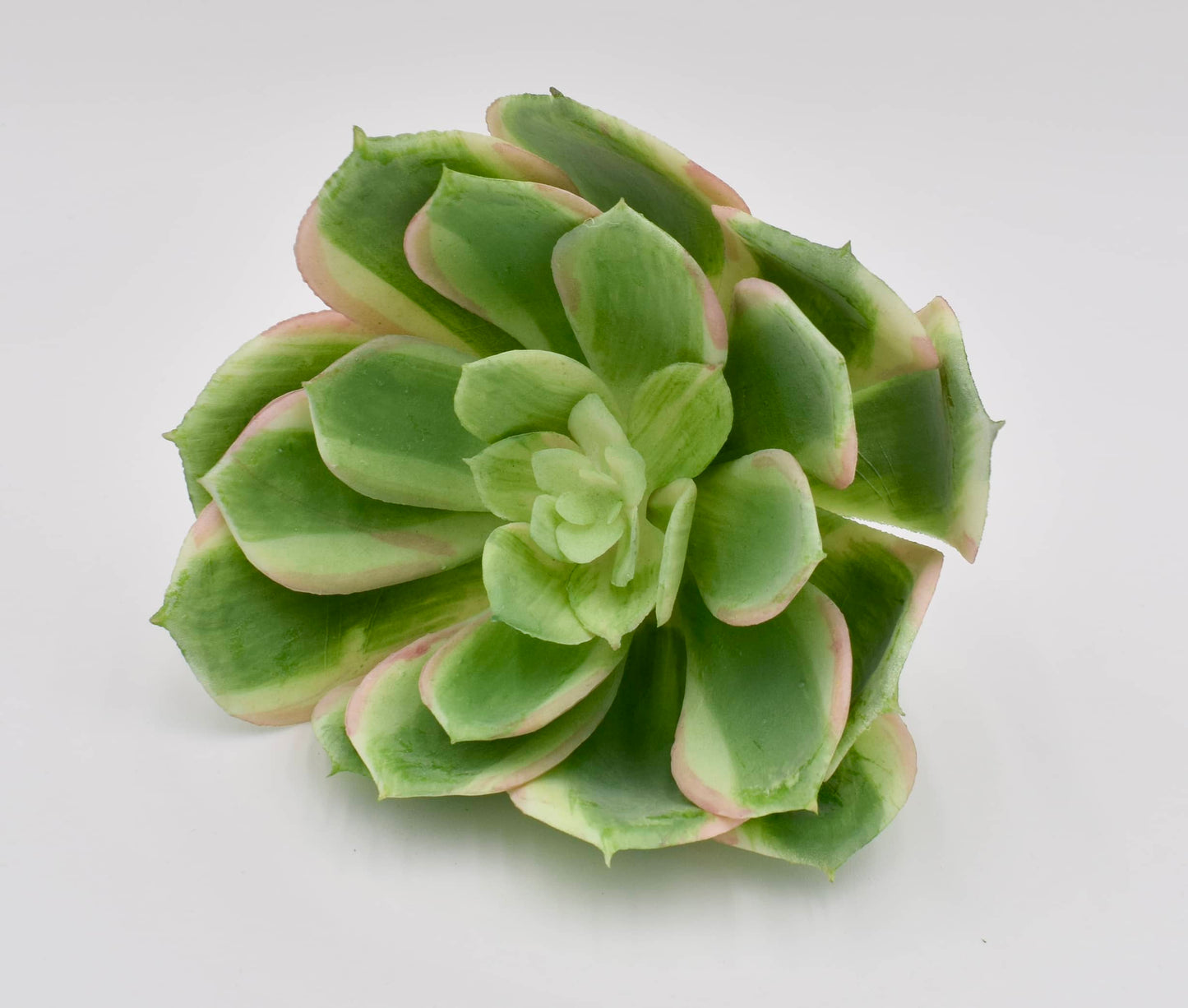 Faux Echeveria Succulent Pick