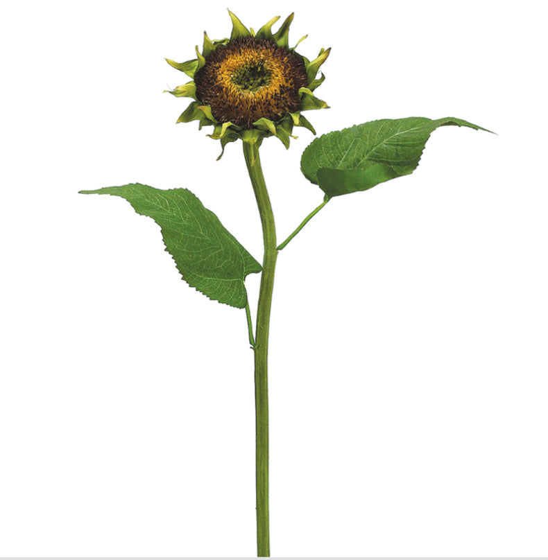 24” Faux “Dried Look” Sunflower Head