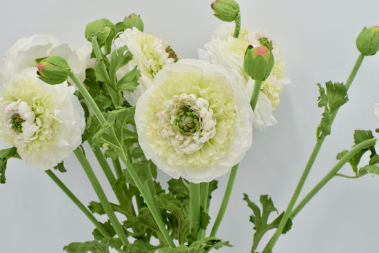 Load image into Gallery viewer, 21” Faux Ruffled Ranunculus Spray
