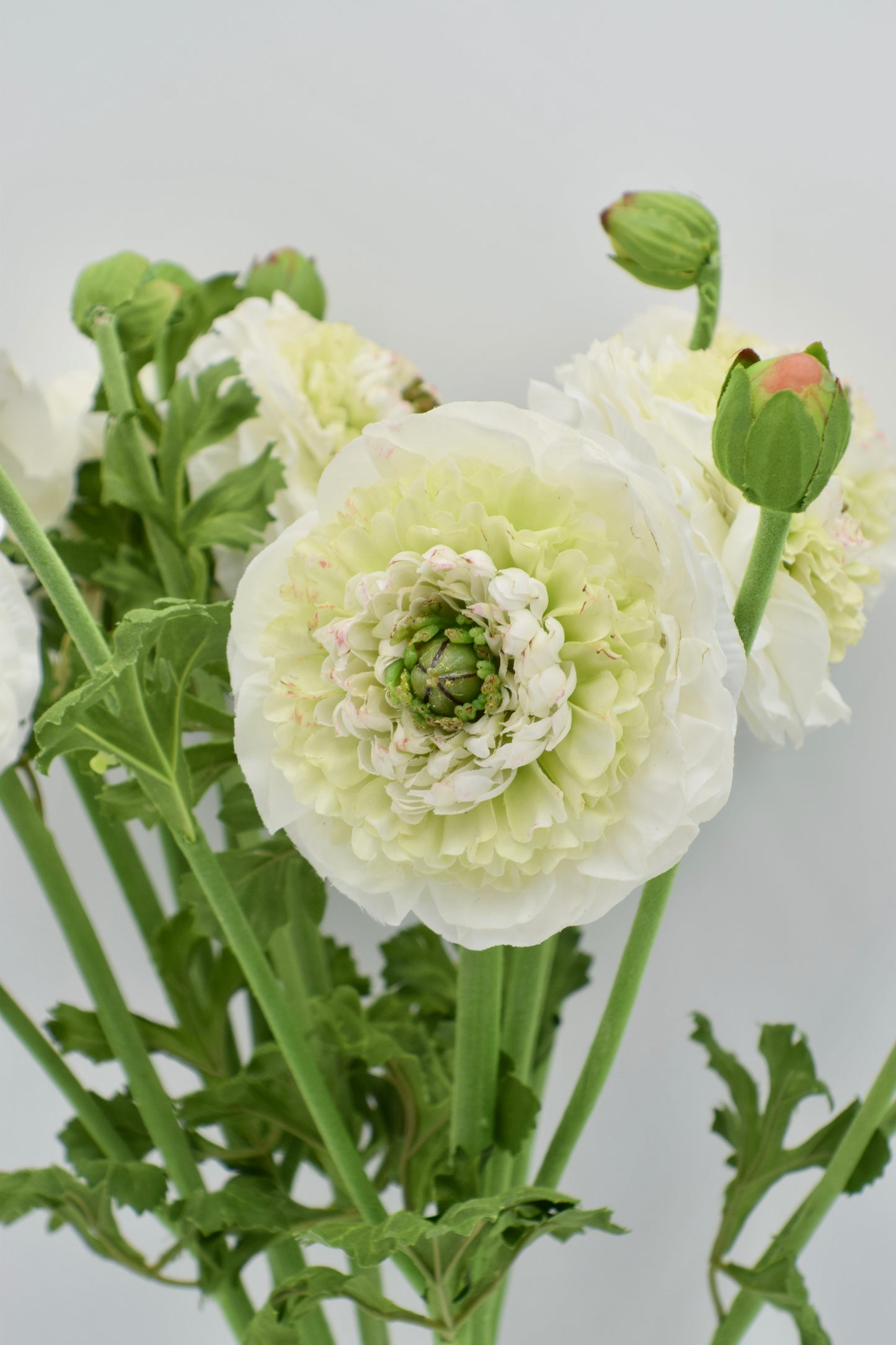 21” Faux Ruffled Ranunculus Spray