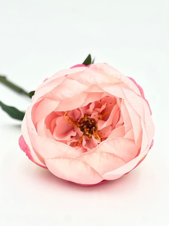 Load image into Gallery viewer, Faux 24” Jumbo Pink Peony Stem
