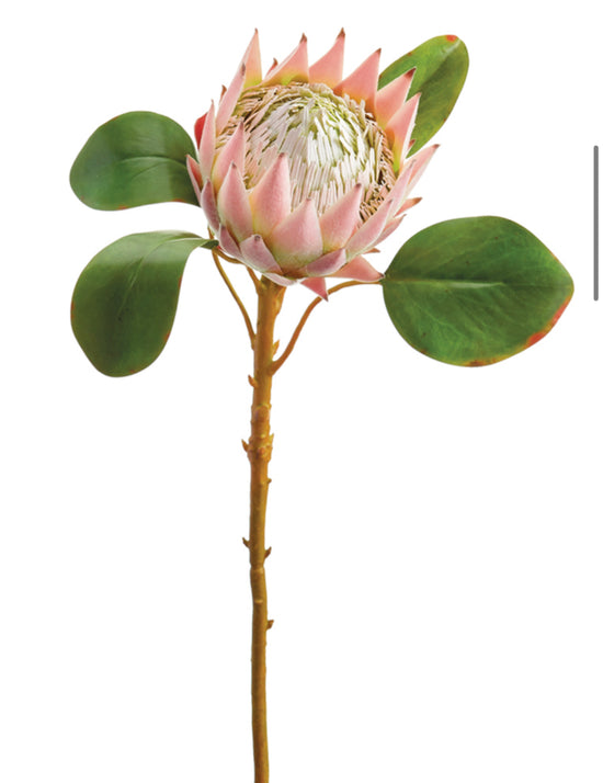 23” Faux Pink King Protea