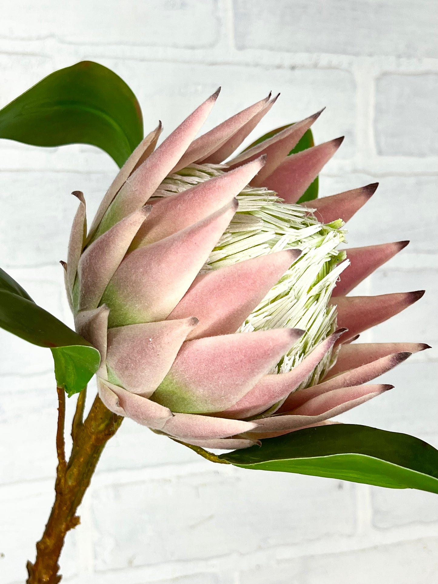 23” Faux Pink King Protea
