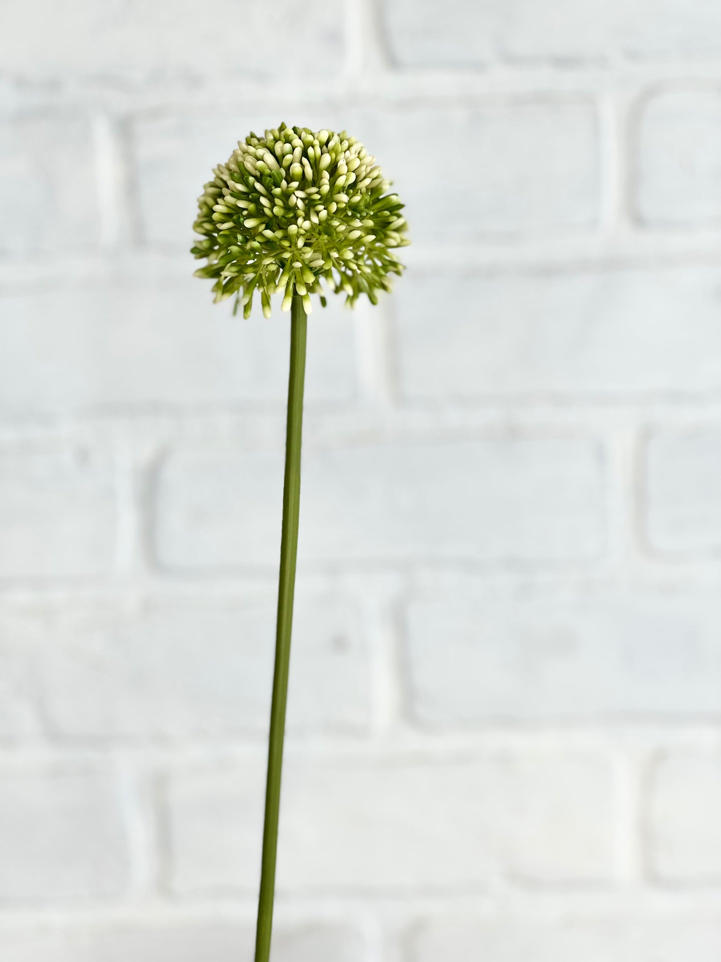 17” Faux Allium Stem