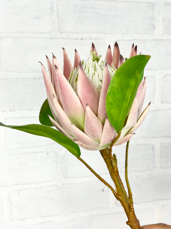23” Faux Pink King Protea