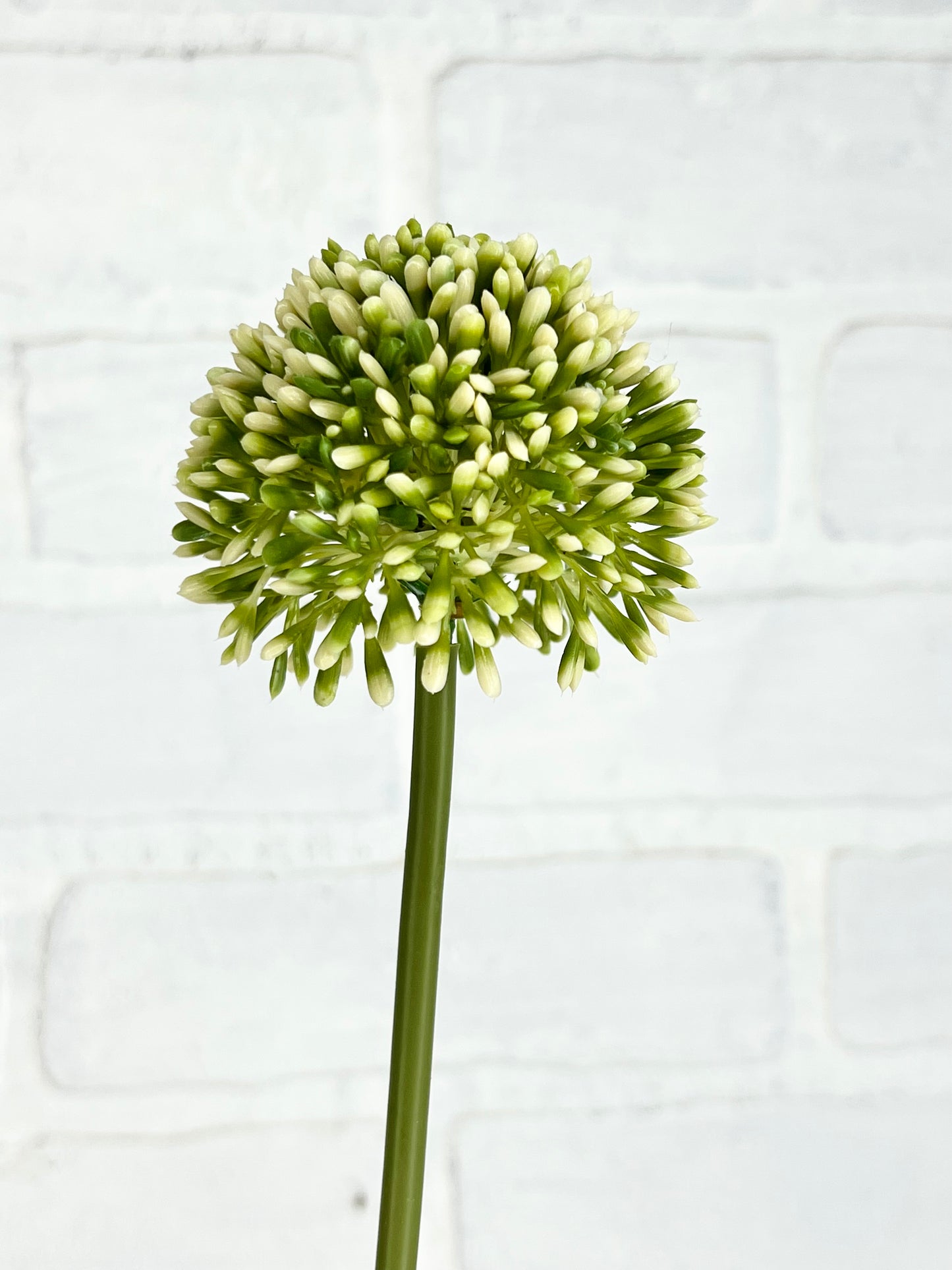 17” Faux Allium Stem