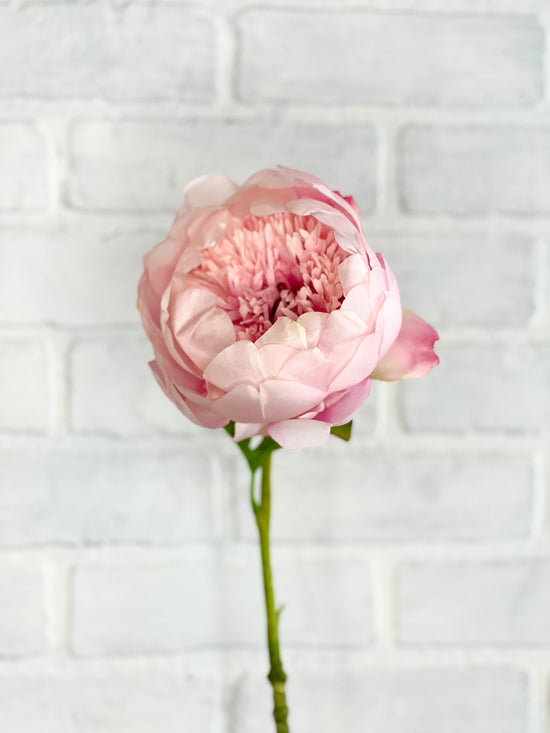 24” Faux Pink Peony Stem